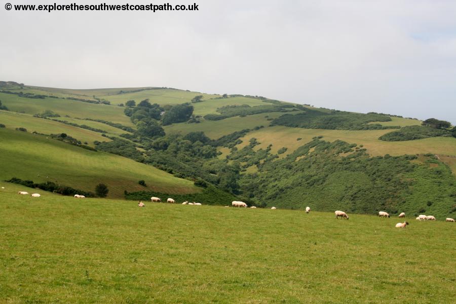 Exmoor scenery from West Hill