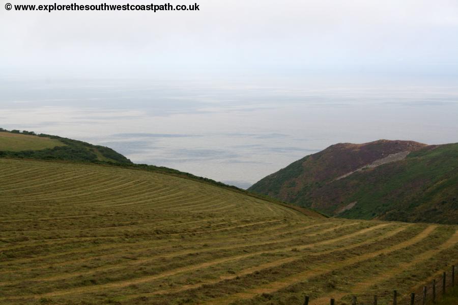 The coast path near Selworth Beacon