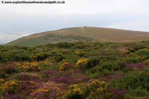 View back to Selworth Beacon