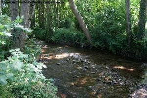 Crossing the stream near Bossington