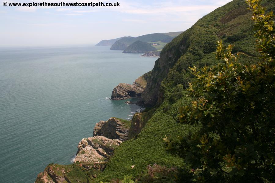 Cliffs near Heddon's Mouth