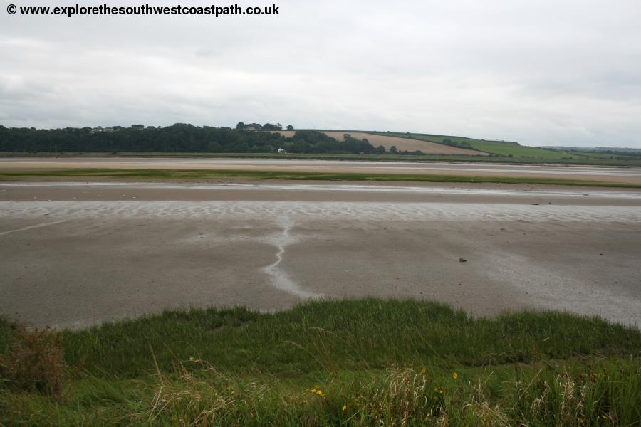 The River Taw