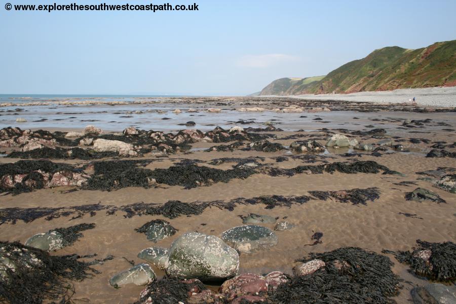 Peppercombe beach