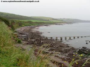 Wembury Bay