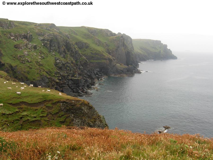 Pentire Point