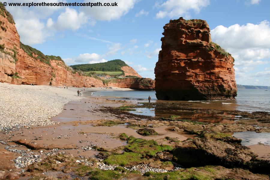 Ladram Bay