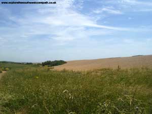 Chesil Beach at Abbotsbury