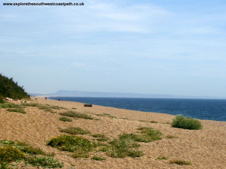 Chesil Beach looking East near Abbotsbury