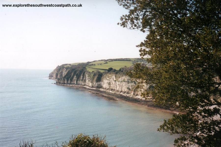 View back to Beer from the coast path