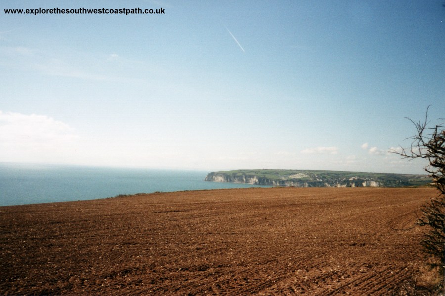 View of Beer from the coastpath near the Undercliff