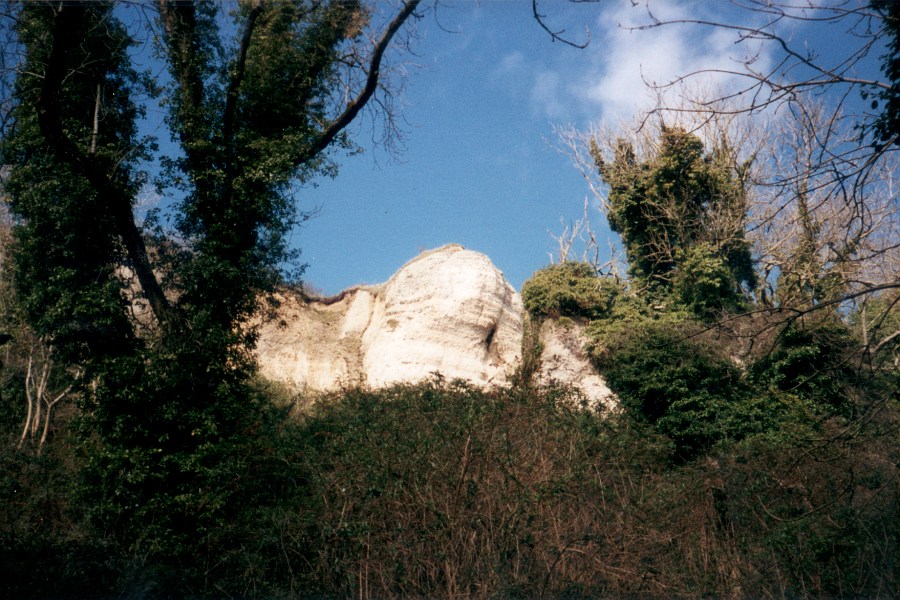 Cliffs in the Undercliff