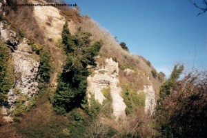 Cliffs in the Undercliff