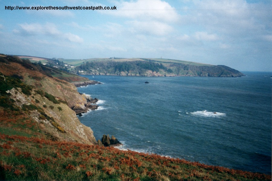 View towards upper Froward Point