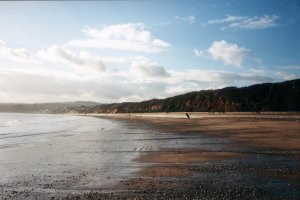 Looking back to Dawlish Near Langstone Rock