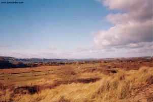 Looking towards Starcross.