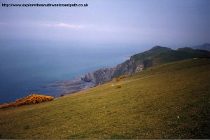 The Torrs Walk