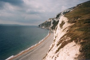 White Nothe