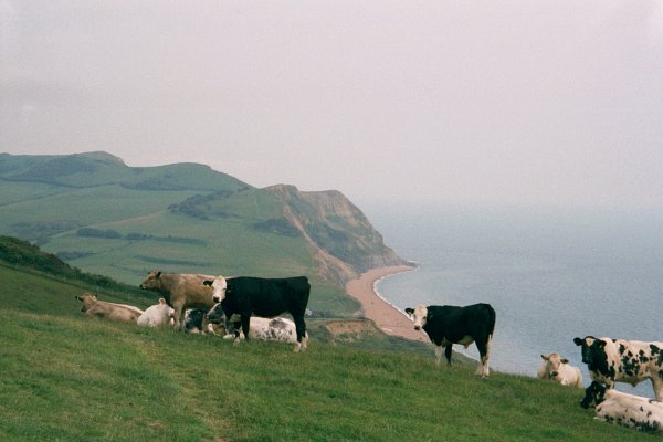 Approaching Seatown