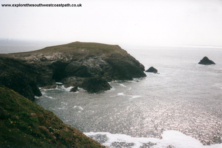 Dinas Head