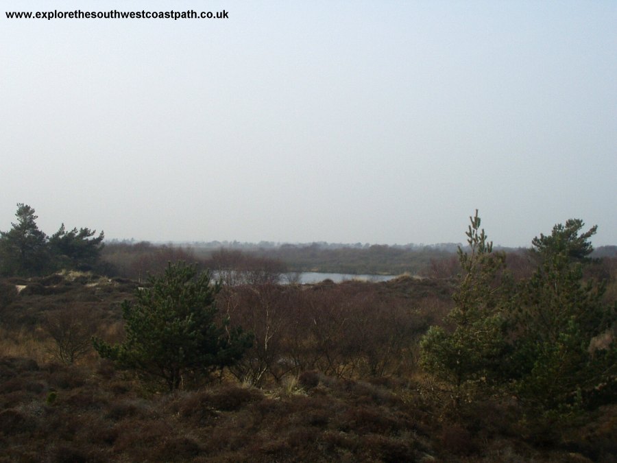 The Little Sea and Studland Heath