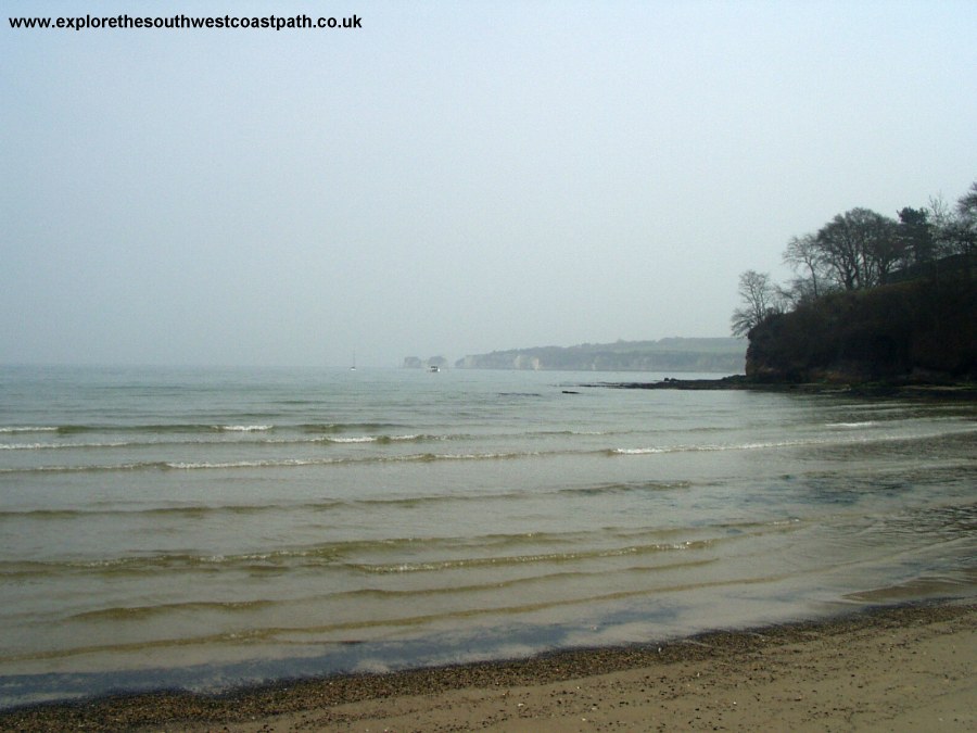 Old Harry from Studland Beach