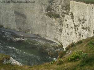 A bay near Old Harry Rocks