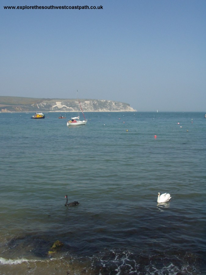 Swanage