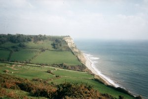 Dunscombe Cliff from Salcombe Hill