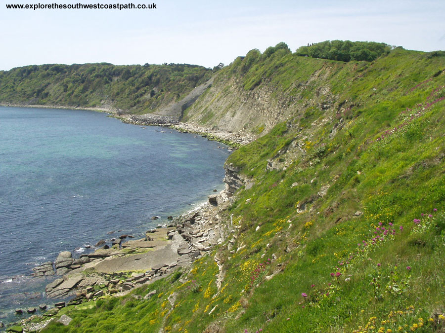 Durlston Bay